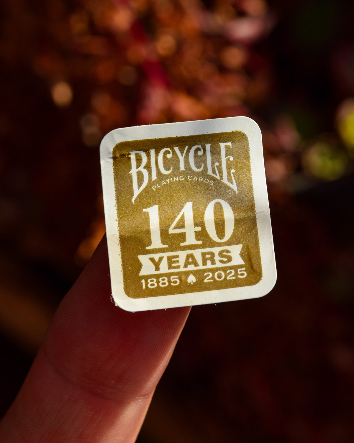 Bicycle Standard