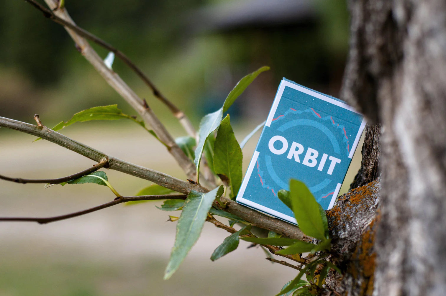 Orbit