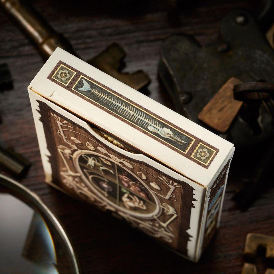 Cabinetarium SECONDS